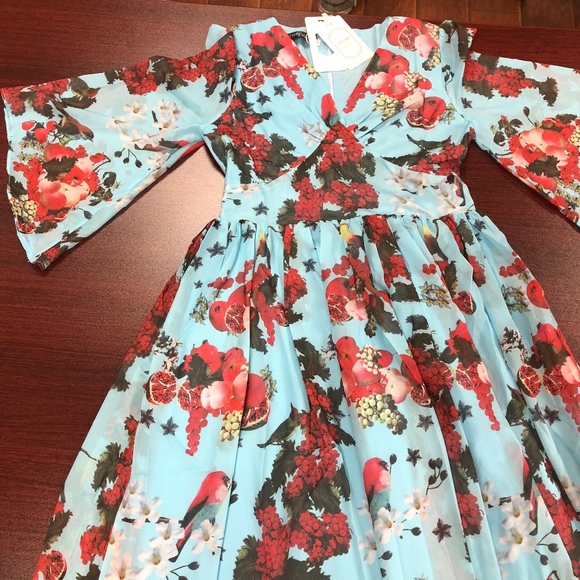 Bird Print Maxi dress - Picture 1 of 7